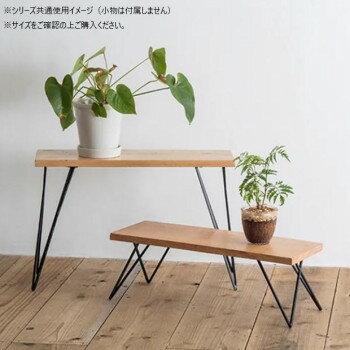 コクヨ 1/3カットフォルダーカラー第1見出し A4 グレー (A4-3F-1M) ****** 販売単位 1セット(10個入)*****（入数10）