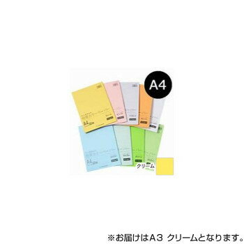 オストリッチダイヤ リッチライト 厚口カラーペーパー A3 クリーム 50枚パック入 HC-A35 厚口カラーペーパー オストリッチダイヤ リッチライト 厚口カラーペーパー A3 クリーム 50枚パック入 HC-A35 厚口カラーペーパー