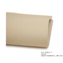 切り革 牛革タンローバイブレーション ナチュラル 1枚 Pkawa100-10 レザークラフトにおすすめ!牛革タンローバイブレーション【送料無料】