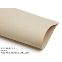 切り革 タンロー 無地 1枚 Pkawa006-15 レザークラフトにおすすめ!切り革【送料無料】