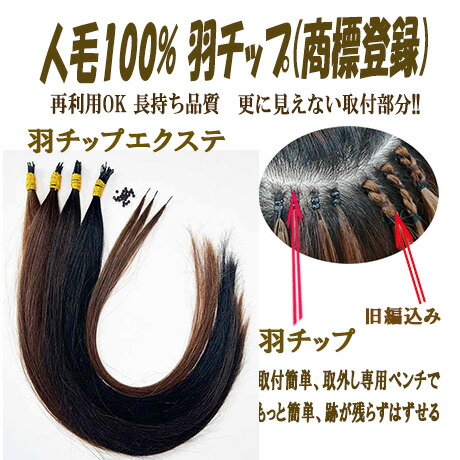 �����å׼�����ˡ��ư��������������������˾��ǡ�������ʬ���ä��ۤɼ���������α��������Ƥ���åפˤ��ޤ�����MGR50 Ĺ��50cm �Ť�1��0.5g 20��...