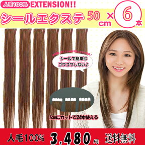 人毛100%シールエクステ50cm　6本セット♪横幅4cm**1cm幅でカットすれば24本分使えてお得!!***シールプレゼント終了しました!!（1本約2.4g）SL-050【エクステンション　エクステ シールエクステ　人毛シールエクステ　人毛　ボンド】