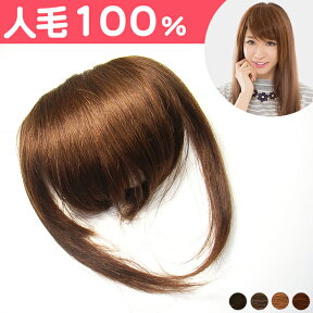 【人毛 前髪ウィッグサイドロング付15cm アイロンで好みのスタイル!! 限定値下げ!! hu089エクステ ウィッグ　wig 　人毛前髪　前髪　前髪カバー　人毛　ボンド】