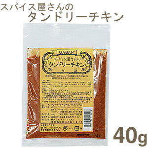 GABAN スパイス屋さんのタンドリーチキン 40g