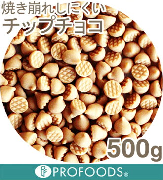 キャラメルチップチョコ【500g】