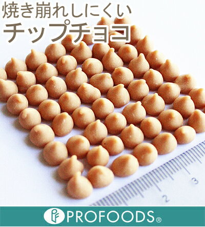 キャラメルチップチョコ【500g】