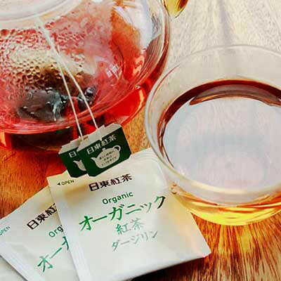 日東紅茶 オーガニック紅茶ダージリン 40g（20袋）