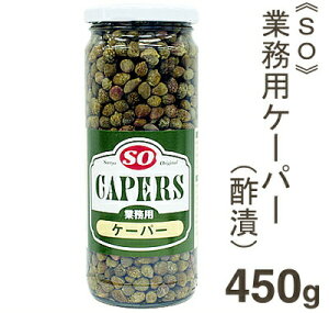 SO ケーパー(酢漬） 450g