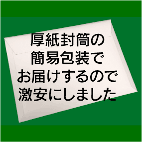 【10％OFFセール】 フラッシュカード（幼児）えらべる英語カード【クリスマス】■ハガキサイズ■　英語教材 学習 英単語 教育 発音 子供 小学校英語 英語カード 単語カード 幼稚園児 小学校 子ども英語 フォニックス