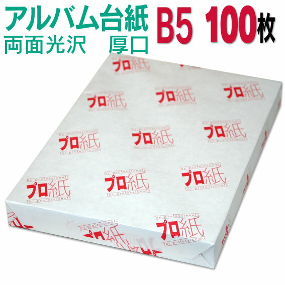 【両面光沢】アルバム 台紙 B5 厚口 100枚 26穴あき 送料無料 フォトペーパー プリンター 印刷用紙　スマホ 光沢紙 厚手 きれい 手作り デジタル カメラ 増やせる