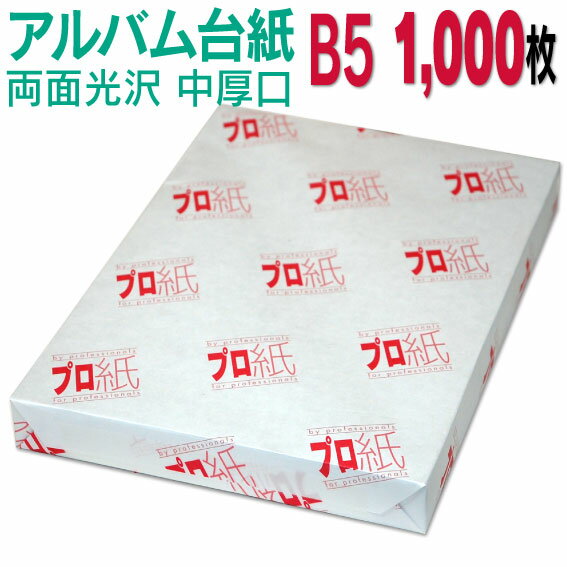 【両面光沢】アルバム 台紙 B5 中厚口 1,000枚 26穴あき 送料無料 フォトペーパー プリンター 印刷用紙　スマホ 光沢紙 厚手 きれい 手作り デジタル カメラ 増やせる