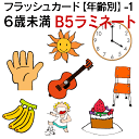 フラッシュカード【年齢別】-1 6歳未満 ■B5サイズ ラミネート■ 英語カード.com 送料無料 英単語 1歳 2歳 3歳 4歳 5歳 6歳 教材 学習 子供...