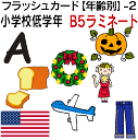 フラッシュカード【年齢別】-2　小学校低学年 ■B5サイズ ラミネート■ 英語カード.com 送料無料 英単語 1歳 2歳 3歳 4歳 5歳 6歳 教材 学習 子供 子ども こども 小学校 幼稚園 チャンツ式 幼児 小学生 単語カードえいご 絵本 1年 2年 3年 4年 5年 6年