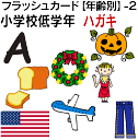 フラッシュカード 英語 カード.com【年齢別】-2　小学校低学年 ■ハガキサイズ■ 送料無料 英単語 1歳 2歳 3歳 4歳 5歳 6歳 教材 学習 子供 子ども こども 小学校 幼稚園 チャンツ式 幼児 小学生 単語カードえいご 絵本 1年 2年 3年 4年 5年 6年