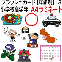 フラッシュカード【年齢別】-3 小学校高学年 ■A4サイズ ラミネート■ 英語カード.com 送料無料 英単語 1歳 2歳 3歳 4歳 5歳 6歳 教材 学習 ...
