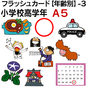 フラッシュカード【年齢別】-3 小学校高学年 ■A5サイズ■ 英語カード.com 送料無料 英単語 1歳 2歳 3歳 4歳 5歳 6歳 教材 学習 子供 子ども こども 小学校 幼稚園 チャンツ式 幼児 小学生 単語カードえいご 絵本 1年 2年 3年 4年 5年 6年