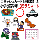 フラッシュカード【年齢別】-3 小学校高学年 ■B5サイズ ラミネート■ 英語カード.com 送料無料 英単語 1歳 2歳 3歳 4歳 5歳 6歳 教材 学習 ...