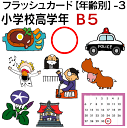 フラッシュカード【年齢別】-3　小学校高学年 ■B5サイズ■ 英語カード.com 送料無料 英単語 1歳 2歳 3歳 4歳 5歳 6歳 教材 学習 子供 子ども こども 小学校 幼稚園 チャンツ式 幼児 小学生 単語カードえいご 絵本 1年 2年 3年 4年 5年 6年