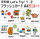 Let's Try! 1・2 (文科省)用 フラッシュカード 英語 カード.com ■A4サイズ ラミネート■ 送料無料 英単語 1歳 2歳 3歳 4歳 5歳 ...