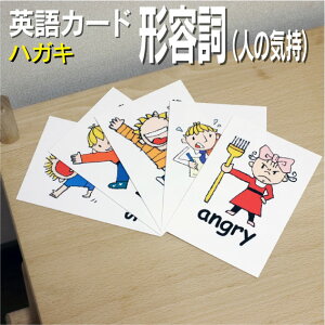 フラッシュカード【形容詞(人の気持)】■ハガキサイズ■ 英語カード.com 送料無料 英単語 1歳 2歳 3歳 4歳 5歳 6歳 教材 学習 子供 子ども こども 小学校 幼稚園 中学校 星みつる式 幼児 小学生 単語カードえいご 絵本 1年 2年 3年 4年 5年 6年