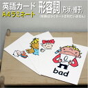 フラッシュカード【形容詞(形状・様子)】■A4 ラミネート加工■ 英語カード.com 送料無料 英単語 1歳 2歳 3歳 4歳 5歳 6歳 教材 学習 子供 子...