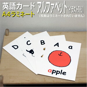 フラッシュカード【アルファベット イラスト入り】■A4 ラミネート加工■ 英語教材 学習 英単語 教育 発音 子供 小学校英語カード 単語カード 幼稚園児 小学校 子ども英語 フォニックス