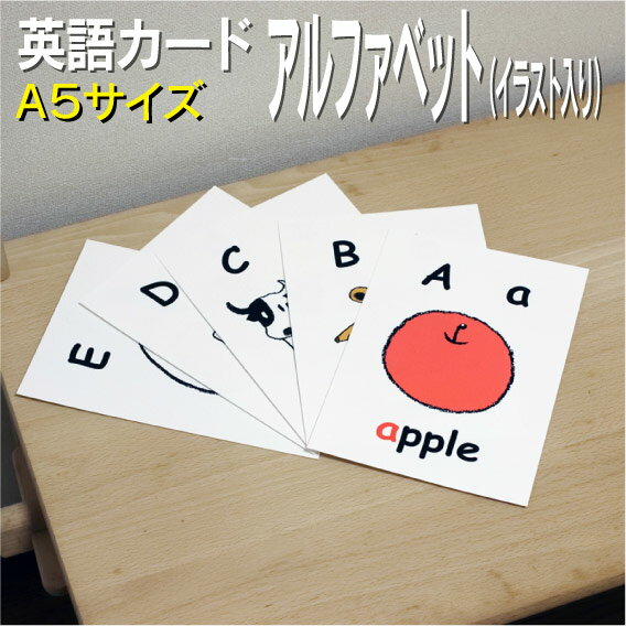 フラッシュカード えらべる 英語 カード A5サイズ 送料無料 七田式 英単語 1歳 2歳 3歳 4歳 5歳 6歳 教材 学習 子供 幼児 小学校 幼稚園 絵本 6年 5年 子ども 4年 星みつる式 1年 こども 3年 中学校 2年 小学生 フラッシュカード えらべる 英語 カード A5サイズ 送料無料 七田式 英単語 1歳 2歳 3歳 4歳 5歳 6歳 教材 学習 子供 幼児 小学校 幼稚園 絵本 6年 5年 子ども 4年 星みつる式 1年 こども 3年 中学校 2年 小学生