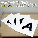 フラッシュカード【アルファベット 大文字】■A4サイズ■ 英語カード.com 送料無料 英単語 1歳 2歳 3歳 4歳 5歳 6歳 教材 学習 子供 子ども こ...