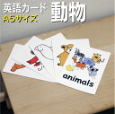 フラッシュカード【動物】■A5 ラミネート加工■ 英語カード.com 送料無料 英単語 1歳 2歳 3歳 4歳 5歳 6歳 教材 学習 子供 子ども こども 小...