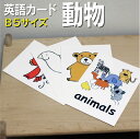 フラッシュカード【動物】■B5サイズ■ 英語カード.com 送料無料 英単語 1歳 2歳 3歳 4歳 5歳 6歳 教材 学習 子供 子ども こども 小学校 幼稚園 中学校 チャンツ 星みつる式 幼児 小学生 単語カードえいご 絵本 1年 2年 3年 4年 5年 6年 1