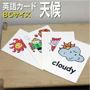 英語教材 バイリンガル cloudy 曇り くもり cold 寒い さむい cool 涼しい すずしい hot 暑い あつい rainy 雨 あめ snowy 雪 ゆき stormy 嵐 あらし sunny 晴れ はれ warm 温かい 暖かい あたたかい windy 風が強い かぜがつよいフラッシュカード えらべる英語カード【天候】B5サイズ B5サイズ 他にもたくさんの絵カードが選び放題!!!　&darr;　&darr;　&darr;　&darr;　&darr;　&darr;　&darr;　&darr; &nbsp; &nbsp; &nbsp; 　　 &nbsp; &nbsp; 　● 両面マット 　● 落ち着いた手触り 　● 単語ゲーム 　● 2セットあれば神経衰弱 　● 記憶用に 　● 0.33mm 　● 官製はがきより厚い 　● コシはシッカリ &nbsp; 商 品 仕 様 サイズ　：　B5 枚数　　：　10枚 用紙　　：　マットコート 厚さ　　：　0.33mm