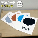 フラッシュカード【色】■B5 ラミネート加工■ 英語カード.com 送料無料 英単語 1歳 2歳 3歳 4歳 5歳 6歳 教材 学習 子供 子ども こども 小学...