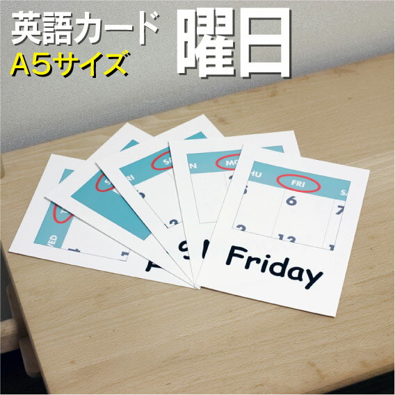 フラッシュカード【曜日】■A5 ラミネート加工■ 英語カード.com 送料無料 七田式 英単語 1歳 2歳 3歳 4歳 5歳 6歳 教材 学習 子供 子ども こども 小学校 幼稚園 チャンツ式 幼児 小学生 単語カードえいご 絵本 1年 2年 3年 4年 5年 6年のサムネイル