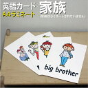 フラッシュカード【家族】■A4 ラミネート加工■ 英語カード.com 送料無料 英単語 1歳 2歳 3歳 4歳 5歳 6歳 教材 学習 子供 子ども こども 小...