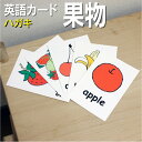 フラッシュカード【果物】■ハガキサイズ■ 英語カード.com 送料無料 英単語 1歳 2歳 3歳 4歳 5歳 6歳 教材 学習 子供 子ども こども 小学校 幼稚園 中学校 チャンツ 星みつる式 幼児 小学生 単語カードえいご 絵本 1年 2年 3年 4年 5年 6年