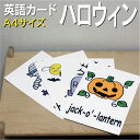 フラッシュカード【ハロウィーン】■A4サイズ■ 英語カード.com 送料無料 英単語 1歳 2歳 3歳 4歳 5歳 6歳 教材 学習 子供 子ども こども 小学校 幼稚園 中学校 チャンツ 星みつる式 幼児 小学生 単語カードえいご 絵本 1年 2年 3年 4年 5年 6年