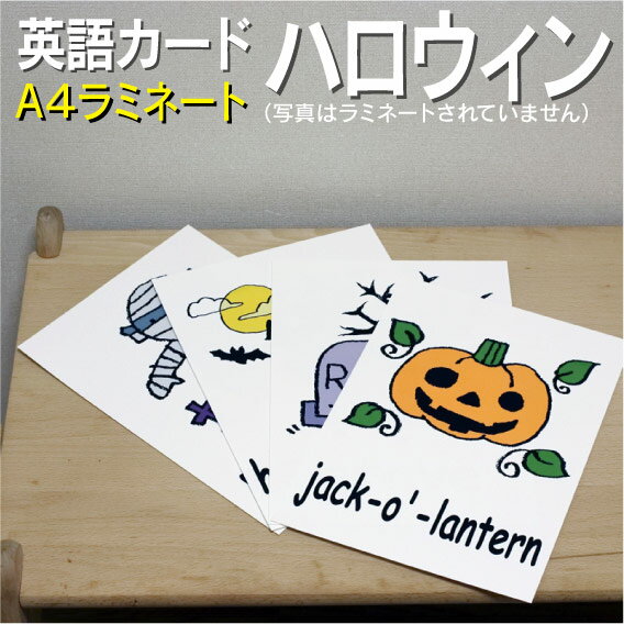 フラッシュカード【ハロウィーン】■A4 ラミネート加工■ 英語カード.com 送料無料 英単語 1歳 2歳 3歳 4歳 5歳 6歳 教材 学習 子供 子ども こども 小学校 幼稚園 中学校 星みつる式 幼児 小学生 単語カードえいご 絵本 1年 2年 3年 4年 5年 6年