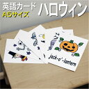 フラッシュカード【ハロウィーン】■A5サイズ■ 英語カード.com 送料無料 英単語 1歳 2歳 3歳 4歳 5歳 6歳 教材 学習 子供 子ども こども 小学校 幼稚園 中学校 チャンツ 星みつる式 幼児 小学生 単語カードえいご 絵本 1年 2年 3年 4年 5年 6年