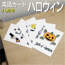 英語教材 バイリンガル bat コウモリ こうもり black cat 黒猫 クロネコ broom ホウキ ほうき 箒 candy キャンディー きゃんでぃー coffin 棺 ひつぎ devil 悪魔 あくま ghost お化け おばけ grave 墓 はか graveyard 墓地 ぼち halloween ハロウィーン はろうぃーん haunted house おばけやしき お化け屋敷 jack o'lantern ジャック・オー・ランタン じゃっく・おー・らんたん monster 怪物 かいぶつ mummy ミイラ みいら owl ふくろう フクロウ pirate 海賊 かいぞく pumkin カボチャ かぼちゃ scarecrow カカシ 案山子 かかし skeleton 骸骨 ガイコツ spider web 蜘蛛の巣 クモの巣 spider クモ クモ tomb stone 墓石 はかいし trick or treat トリックオアトリート とりっくおあとりーと vampire 吸血鬼 きゅうけつき werewolf 狼 オオカミ witch hat 魔女の帽子 まじょのぼうし witch 魔女 まじょフラッシュカード えらべる英語カード【ハロウィーン】ハガキサイズ ラミネート加工 ハガキサイズ ラミネート加工 他にもたくさんの絵カードが選び放題!!!　&darr;　&darr;　&darr;　&darr;　&darr;　&darr;　&darr;　&darr; &nbsp; &nbsp; &nbsp; 　　 &nbsp; &nbsp; 　● 両面マット 　● 落ち着いた手触り 　● 単語ゲーム 　● 2セットあれば神経衰弱 　● 記憶用に 　● 0.33mm 　● 官製はがきより厚い 　● コシはシッカリ &nbsp; 商 品 仕 様 サイズ　：　ハガキサイズ ラミネート加工 枚数　　：　27枚 用紙　　：　マットコート 厚さ　　：　0.33mm