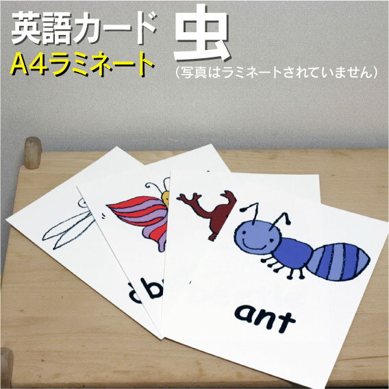 フラッシュカード【虫】■A4 ラミネート加工■ 英語カード.com 送料無料 英単語 1歳 2歳 3歳 4歳 5歳 6歳 教材 学習 子供 子ども こども 小学校 幼稚園 中学校 星みつる式 幼児 小学生 単語カードえいご 絵本 1年 2年 3年 4年 5年 6年