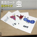 フラッシュカード【虫】■B5サイズ■ 英語カード.com 送料無料 英単語 1歳 2歳 3歳 4歳 5歳 6歳 教材 学習 子供 子ども こども 小学校 幼稚園...