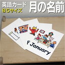 英語教材 バイリンガル January 1月 一月 いちがつ February 2月 二月 にがつ March 3月 三月 さんがつ April 4月 四月 しがつ May 5月 五月 ごがつ June 6月 六月 ろくがつ July 7月 七月 しちがつ August 8月 八月 はちがつ September 9月 九月 くがつ October 10月 十月 じゅうがつ November 11月 十一月 じゅういちがつ December 12月 十二月 じゅうにがつフラッシュカード えらべる英語カード【月の名前】B5サイズ B5サイズ 他にもたくさんの絵カードが選び放題!!!　&darr;　&darr;　&darr;　&darr;　&darr;　&darr;　&darr;　&darr; &nbsp; &nbsp; 　　 &nbsp; &nbsp; 　● 両面マット 　● 落ち着いた手触り 　● 単語ゲーム 　● 2セットあれば神経衰弱 　● 記憶用に 　● 0.33mm 　● 官製はがきより厚い 　● コシはシッカリ &nbsp; 商 品 仕 様 サイズ　：　B5 枚数　　：　12枚 用紙　　：　マットコート 厚さ　　：　0.33mm