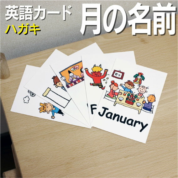 英語教材 バイリンガル January 1月 一月 いちがつ February 2月 二月 にがつ March 3月 三月 さんがつ April 4月 四月 しがつ May 5月 五月 ごがつ June 6月 六月 ろくがつ July 7月 七月 しちがつ August 8月 八月 はちがつ September 9月 九月 くがつ October 10月 十月 じゅうがつ November 11月 十一月 じゅういちがつ December 12月 十二月 じゅうにがつフラッシュカード えらべる英語カード【月の名前】ハガキサイズ ラミネート加工 ハガキサイズ ラミネート加工 他にもたくさんの絵カードが選び放題!!!　&darr;　&darr;　&darr;　&darr;　&darr;　&darr;　&darr;　&darr; &nbsp; &nbsp; 　　 &nbsp; &nbsp; 　● 両面マット 　● 落ち着いた手触り 　● 単語ゲーム 　● 2セットあれば神経衰弱 　● 記憶用に 　● 0.33mm 　● 官製はがきより厚い 　● コシはシッカリ &nbsp; 商 品 仕 様 サイズ　：　ハガキサイズ ラミネート加工 枚数　　：　12枚 用紙　　：　マットコート 厚さ　　：　0.33mm