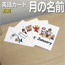 フラッシュカード【月の名前】■名刺サイズ■ 英語カード.com 送料無料 英単語 1歳 2歳 3歳 4歳 5歳 6歳 教材 学習 子供 子ども こども 小学校 ...