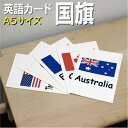 フラッシュカード【国旗】■A5 ラミネート加工■ 英語カード.com 送料無料 英単語 1歳 2歳 3歳 4歳 5歳 6歳 教材 学習 子供 子ども こども 小学校 幼稚園 チャンツ式 幼児 小学生 単語カードえいご 絵本 1年 2年 3年 4年 5年 6年