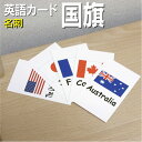 フラッシュカード【国旗】■名刺 ラミネート加工■ 英語カード.com 送料無料 七田式 英単語 1歳 2歳 3歳 4歳 5歳 6歳 教材 学習 子供 子ども こども 小学校 幼稚園 チャンツ式 幼児 小学生 単語カードえいご 絵本 1年 2年 3年 4年 5年 6年