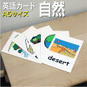 フラッシュカード【自然】■A5 ラミネート加工■ 英語カード.com 送料無料 英単語 1歳 2歳 3歳 4歳 5歳 6歳 教材 学習 子供 子ども こども 小...