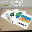 フラッシュカード【自然】■B5 ラミネート加工■ 英語カード.com 送料無料 英単語 1歳 2歳 3歳 4歳 5歳 6歳 教材 学習 子供 子ども こども 小...