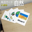 フラッシュカード【自然】■ハガキ ラミネート加工■ 英語カード.com 送料無料 英単語 1歳 2歳 3歳 4歳 5歳 6歳 教材 学習 子供 子ども こども ...