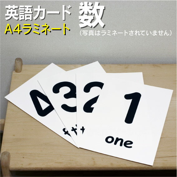 数字 1年 ラミネート加工 英語 幼稚園 えらべる 七田式 A４サイズ 子供 ２歳 １歳 英単語 送料無料 送料無料のフラッシュカード フラッシュカード カード ３歳 ４歳 ５歳 ６歳 教材 学習 子供 子ども こども 小学校 幼稚園 中学校 星みつる式 幼児 小学生